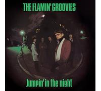 Flamin' Groovies - Jumpin' in The Night [Import]