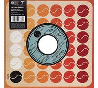 Flamin' Groovies - Shake Some Action/Teenage Confidential