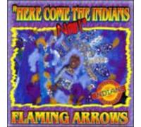 Flaming Arrows - Here Come The Indians