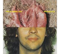 The Flaming Lips Brainville (Vinyl) 7" Single