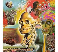 The Flaming Lips – Oh My Gawd ..... The Flaming Lips – Vinyle – Import – Rhino