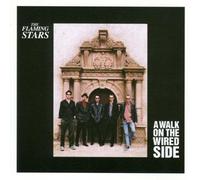 Flaming Stars - Walk on The Wired Side