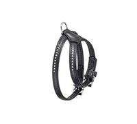 Flamingo ALP Monte Carlo Harnais pour Chien Noir 40-47 cm 14 mm