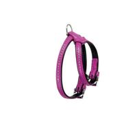 Flamingo ALP Monte Carlo Harnais pour Chien Rose 21-27 cm 11 mm