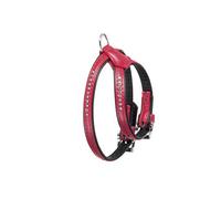 Flamingo ALP Monte Carlo Harnais pour Chien Rouge 30-37 cm 11 mm