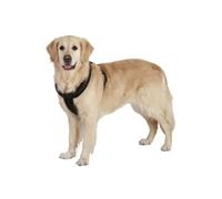 Flamingo Asp Cross Harnais pour Chien Noir 52-60 cm 25 mm