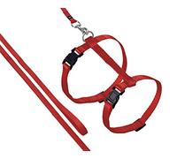 Flamingo Asp Harnais + Laisse pour Chat Rouge 110 cm
