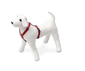 Flamingo ASP Harnais pour Chien Rouge 65-100 cm 25 mm