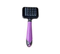 Flamingo BALANCOIRE avec PERCHOIR DE Sable