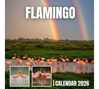 Flamingo Calendar 2026