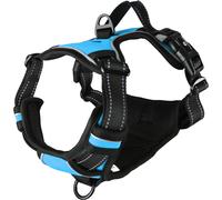 Flamingo Chien Harnais balou Bleu M 32-56cm 50-65cm 25mm