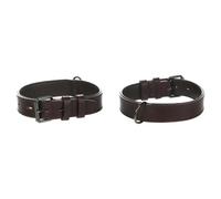 Flamingo Collier rembourré Large pour Chien Denver Brun XL - 52-64cm 40mm - Cuir huilé Cousu pour renforcement supplémentaire