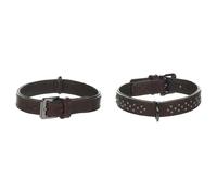 Flamingo Collier Denver Brun Rivets pour Chiens, Buffle, Élégant & Robuste