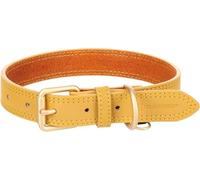 Flamingo Collier pour Chien Virginia Jaune M/L 38-48cm 25mm - avec Un Anneau pour étiquette d'identification - Cousu pour Une Plus Grande résistance
