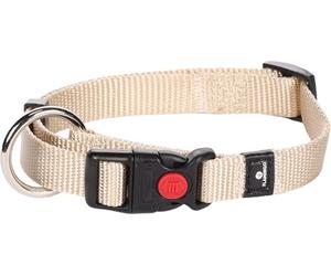 Flamingo Collier pour Chiens Ziggi - Beige - Taille S 30-45 cm, 15 mm - Idéal pour Cavalier King Charles, Shih Tzu, Teckel, Boston Terrier et Jack Russell