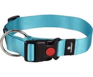 Flamingo Collier pour Chiens Ziggi - Turquoise - Taille XL 55-75 cm, 40 mm - Idéal pour Bullmastiff, TOSA Inu, Cane Corso, Chien de Saint-Hubert et Kangal