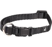 Flamingo Collier pour Chiens Ziggi - Noir - Taille XS 20-35 cm, 10 mm - Idéal pour Chihuahua, Pinscher Nain, Spitz Nain, Bichon Maltais et Papillon