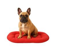 Flamingo Coussin Chien - Coussin Chat - 55x39x3cm - Idéal pour Shih Tzu, Pékinois, Cavalier King Charles Spaniel, Pinscher Nain & Papillon Coussin Firenze Ovale Rouge