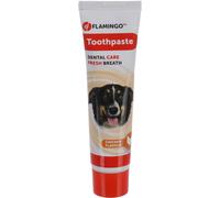 Flamingo Dentifrice Dafra Saveur Poulet 85g Display