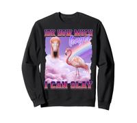 Flamingo Funny Meme Internet Culture Gen Z Sarcastique Sweatshirt