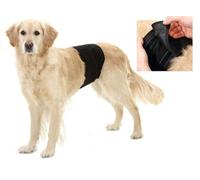 Flamingo Gentleman Wraps Plus Collerette pour Chien Noir 40 x 10 cm