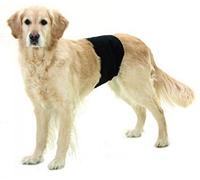 Flamingo Gentleman Wraps Plus Collerette pour Chien Noir 49 x 14 cm