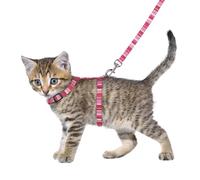 Flamingo Harnais avec Laisse - Chat - Petit Chien - Harnais Chaton - Réglable - Gilet Refléchissant Respirant - Chaton 15-25cm - 2 Couleurs (Pas de Choix de Couleur Possible), Taille Unique