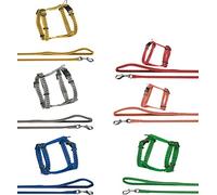 Flamingo Harnais + Laisse pour Chat Brillant Or - 10 mm, 25x35 cm