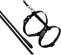 Flamingo Harnais Pour Chat + Laisse Ziggi Noir 20-35cm 10mm