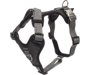 Flamingo Harnais pour Chien Mago Gris foncé M - A:38-61cm B:45-70cm x 25mm - Réglable en continu avec Boucle à clic - Idéal pour Beagle, Cocker Spaniel, Schnauzer & Husky Sibérien