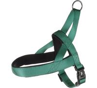 Flamingo Harnais pour Chien Norvégien Abbi Vert XS - 35 à 42cm 20mm - Réglable en continu - avec Boucle à clic et Une poignée