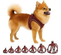 Flamingo Harnais pour Chien Step&Go Bento Aubergine S - A:30-35cm B:37-40cm x 3mm - Réglable avec Bandes Réfléchissantes - Idéal pour Pinscher, Yorkshire, Papillon & Pékinois