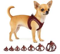 Flamingo Harnais pour Chien Step&Go Bento Aubergine XXS - A:22-23cm B:24-25cm x 3mm - Réglable avec Bandes Réfléchissantes - Idéal pour Chihuahua, Yorkshire, Papillon & Pékinois