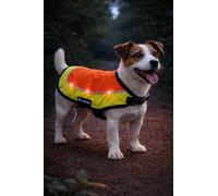 FLAMINGO Impermeable Chien - Gilet sécurité LED Simi Fluo Orange 30 cm - réfléchissant - Batterie Rechargeable