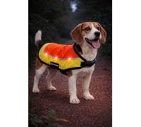 FLAMINGO Impermeable Chien - Gilet sécurité LED Simi Fluo Orange 40 cm - réfléchissant - Batterie Rechargeable