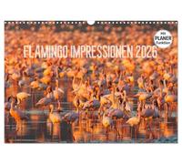 Flamingo Impressionen 2026, Version française (Calendrier mural 2026 DIN A3 portrait), Calendrier CALVENDO mensuel