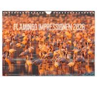 Flamingo Impressionen 2026, Version française (Calendrier mural 2026 DIN A4 portrait), Calendrier CALVENDO mensuel