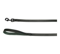 Chien Laisse Montana Vert 1,3m 20mm