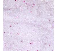 Flamingo Litière Pour Chats Silice Fine Agglomérante 15L