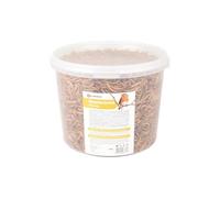 Flamingo Nourriture pour Oiseaux Sauvages - qualité Premium - vers de Farine séchés - friandise Saine - 540g