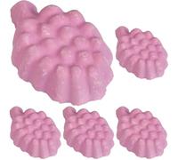 Flamingo Pierre Raisin pour Rongeur 30 g (Lot de 5)