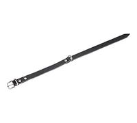Flamingo Rondo Collier pour Chien Noir 37 x 1,2 cm