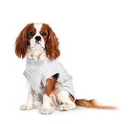 Flamingo Safety Body Harnais Veste pour Chien Gris 36 cm