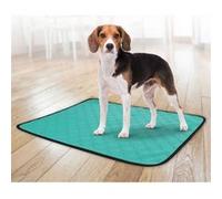 Flamingo Tapis d'entrainement Lavable Patsy Vert L ANTIDERAPANT 85x51CM