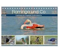 Flamingo und Co - Faszinierende Vogelwelt Südfrankreichs (Tischkalender 2026 DIN A5 quer), CALVENDO Monatskalender: Grandiose Vogelbilder aus Südfrankreich