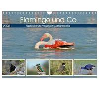 Flamingo und Co - Faszinierende Vogelwelt Südfrankreichs (Wandkalender 2026 DIN A4 quer), CALVENDO Monatskalender: Grandiose Vogelbilder aus Südfrankreich