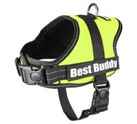 Flamingo Vaisselle Best Buddy Pluto Vert Fluo pour Chiens De Système de Sécurité
