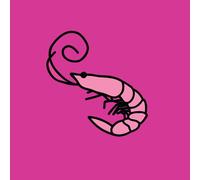 Kero Kero Bonito - Flamingo (Pink Vinyl) [Vinyl LP]