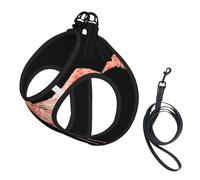 Flamingo1 Ensemble harnais laisse pour chats et chiens, réfléchissant, réglable, gilet en maille respirante douce avec laisse anti-fuite, pour petits animaux de compagnie et chatons chiots