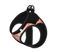 Flamingo1 Ensemble harnais laisse pour chats et chiens, réfléchissant, réglable, gilet en maille respirante douce avec laisse anti-fuite, pour petits animaux de compagnie et chatons chiots